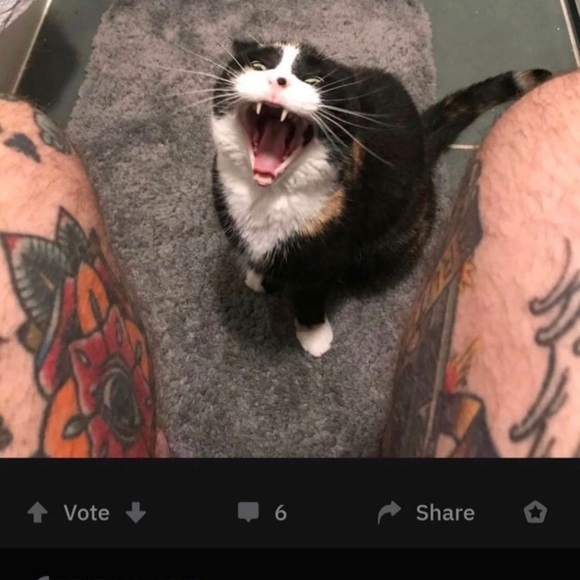 High - Picture 4 of 8